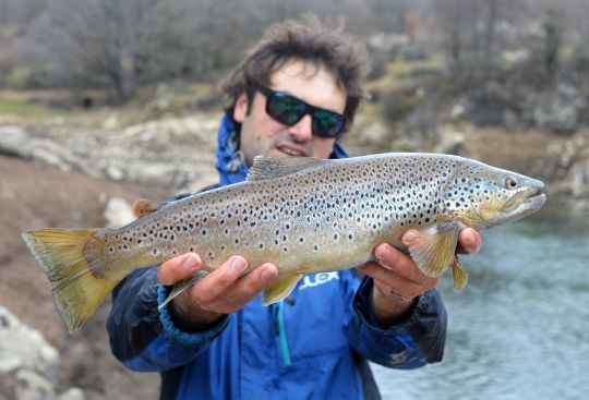 Une belle truite capturée en lac