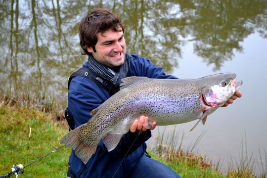 Une très grosse truite arc-en-ciel de réservoir