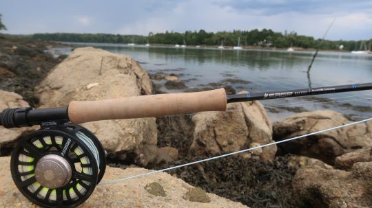 Un ensemble traité mer est un plus pour rechercher le bar régulièrement