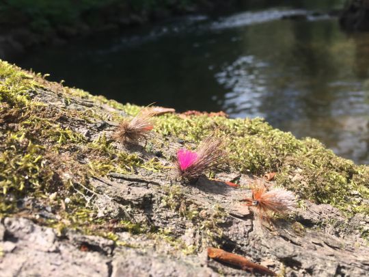 Les mouches en poils et en mousse sont à privilégier pour pêche en tandem "lourd" ou eau rapide