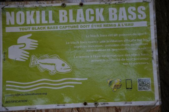 S'impliquer dans la protection des milieux aquatiques