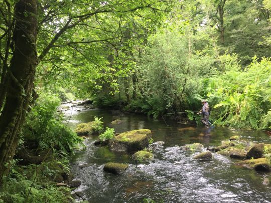 En petite rivière une canne courte de 6 à 8 pieds pour soie de 3/4 sera de mise