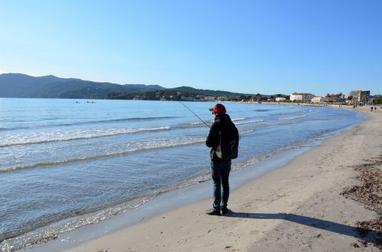 Les plages de sable, des spots à prospecter pour rechercher les loups