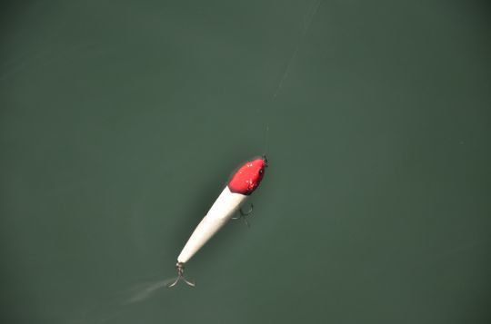 De nombreux leurres fonctionnent dont le stickbait.