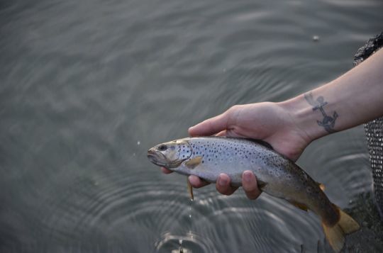 L'ouverture de la pêche liée au poisson d'avril ?