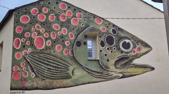 L'image du poisson mise à l'honneur ?