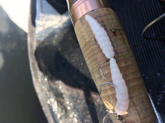 Pêcher la truite avec des imitations de larves