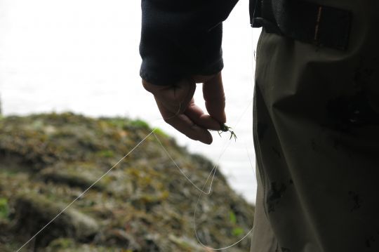 Il faut être prêt et aux aguets crabes en main pour rapidement lancer et poser sa mouche devant un bar en déplacement. Toujours un vrai challenge!