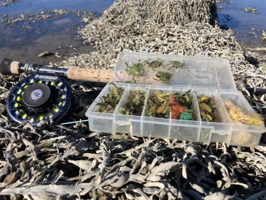 Les bars en estuaires se nourrissent surtout de crabes verts. Il faut avoir différentes imitations en fonction des spots de pêche (courant, profondeur, ...).