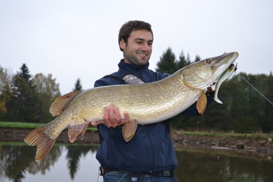 Un très gros brochet d'ouverture au Illex Dexter Shad 250