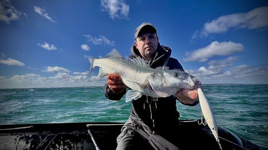 L'Asturie est un leurre incontournable pour la pêche du bar.