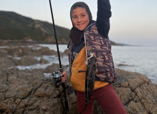 ce poisson, présent en abondance, lors de nos côtes, est une espèce qui permet au plus jeune pêcheur, de s'initier et de prendre déjà les très bonnes habitudes