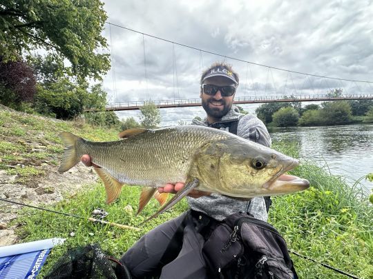 imitatif et compact, les castings jigs sont redoutables (Illex Silver Shade 12g)