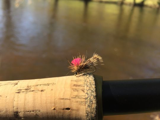Les sedges en cul de bécasse sont très efficaces sur les truites et ce en toute saison