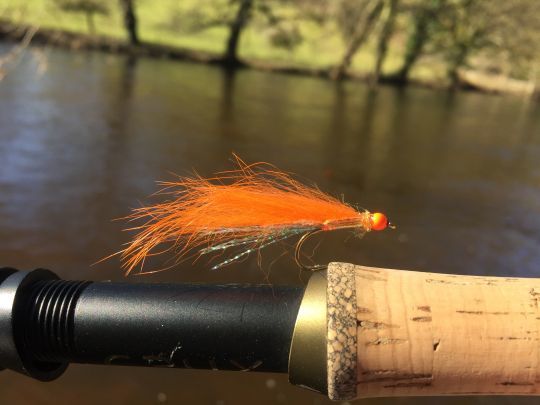 L'alose réagit bien aux couleurs "flashy" comme le orange, le rose, le chartreux. Ici un de mes modèles préférés pour le début de saison.
