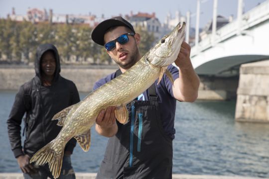 Ne pas négliger la présence des brochets