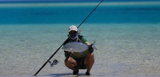 Un poisson avec une robe magnifique dans un cadre paradisiaque