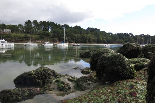 Que ce soit en mer ou en estuaire, il faudra trouver les bonnes zones de pêche pour attraper quelques bars! 