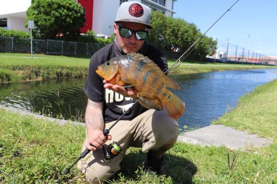 Testée et validée pour pêcher à Miami !