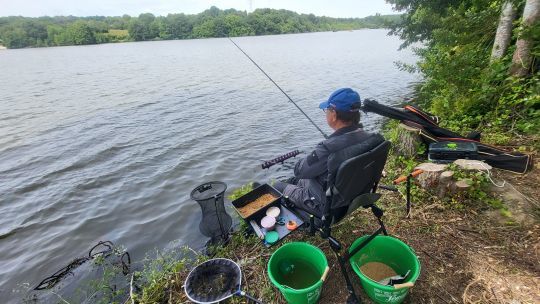 Rechercher les barbeaux au feeder