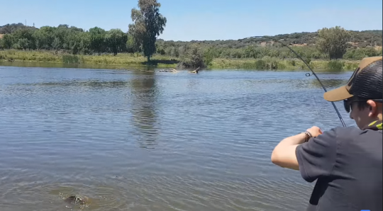 Profiter de l'été pour vous mettre à la pêche