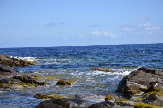 Les pointes rocheuses, des spots à prospecter