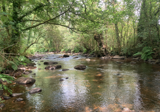 En été les eaux baissent mais la pêche n'est pas pour autant terminée. Affiner sa pêche peut faire la différence!