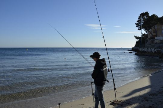 Rechercher le loup aux appâts en surfcasting.