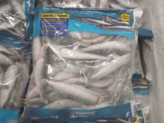 La sardine, un appât efficace pour le congre.