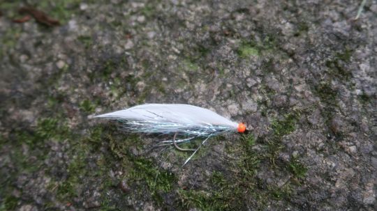 Cette mouche entre une imitation de poisson fourrage et un sparkler est très prenante en réservoir