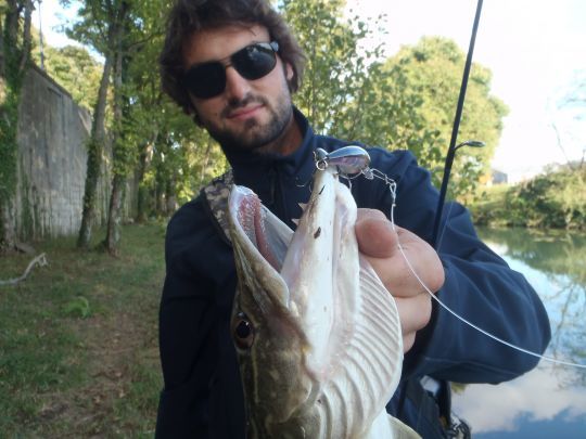 Les brochets sont plutôt bien représentés à Verdun