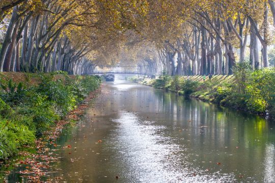 Les canaux sont très agréables à pêcher