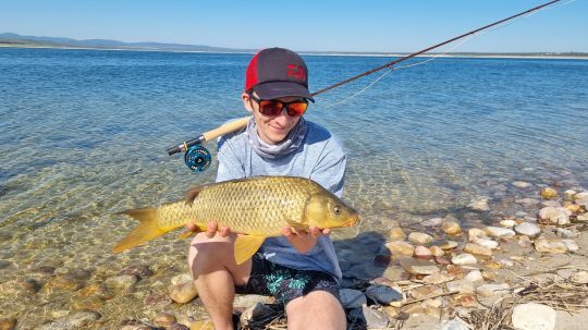 Pêcher à la mouche différentes espèces de poisson.