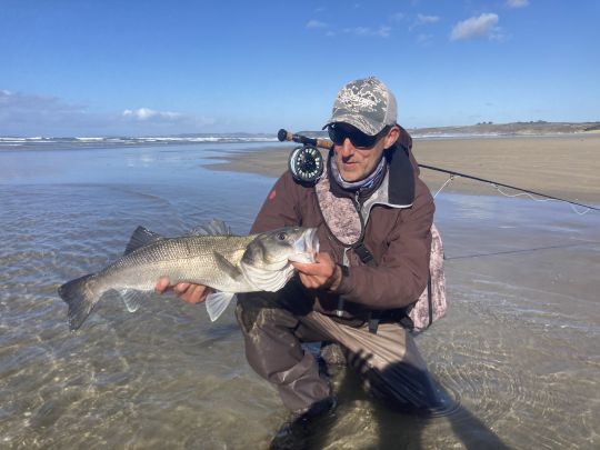 Magnifique bar de plage qui frôle la barre des 70 cm pris à vue au streamer par l'auteur