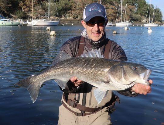 Prendre des bars trophées se méritent et demande du temps. Remettons ces poissons incroyables dans leur élément pour les préserver!