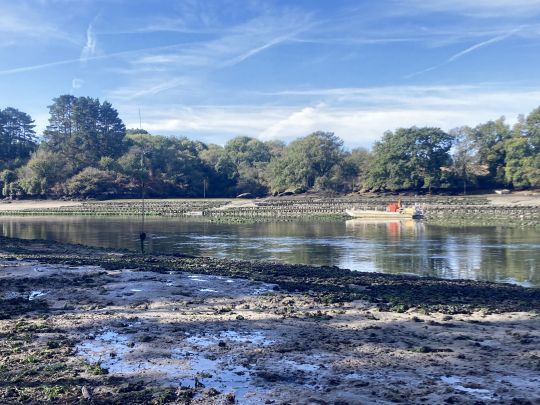 Les zones de parcs à huitres sont de très bons secteurs de pêche pour prendre de jolis bar à la mouche