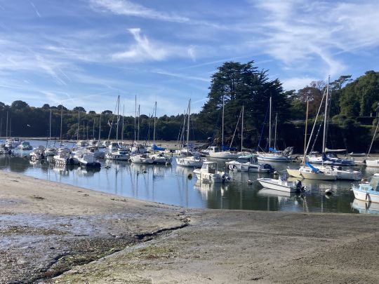 Les ports permettent au gros bars de trouver de l'eau à n'importe quel moment de la marée et tout type de coef. Des coins à prospecter de temps à autre car les gros bars affectionnent ces eaux profondes.