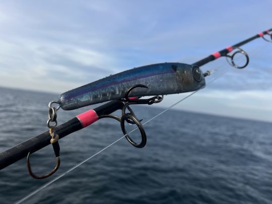 La majorité de leurres utilisés pour la pêche du thon sont équipées de deux hameçons.