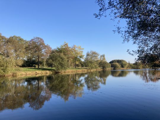 Le Réservoir de Colpo ou de Parc Ar Bihan offre un parcours de 1,7 hectares pour pratiquer la pêche en lac notamment pendant la fermeture des rivières de première catégorie