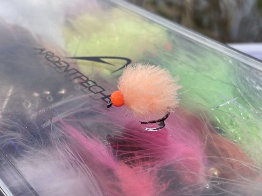 Les imitations d'oeufs font parfois la différence notamment en plein hiver. Elles peuvent montées de différentes couleurs et avec ou sans bille