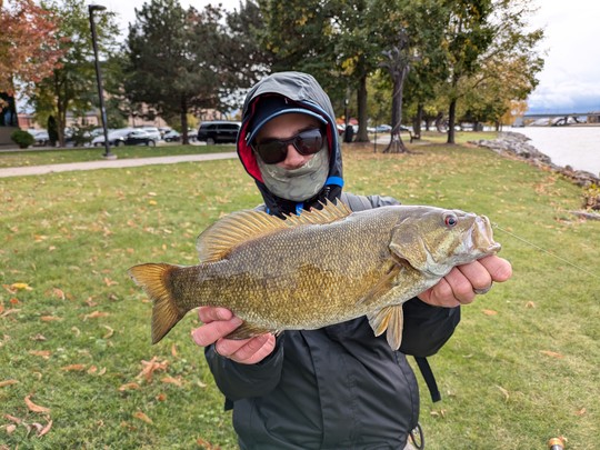 La pêche en bordure à l'entrainement laisser présager de bons résultats