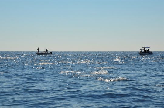 S'enregistrer et renseigner son profil de pêcheur sur RecFishing.