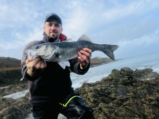En fin de saison, l'eau ne s'est pas encore trop refroidie en bord de côte. La nourriture y est abondante et les bars sont bien présents.