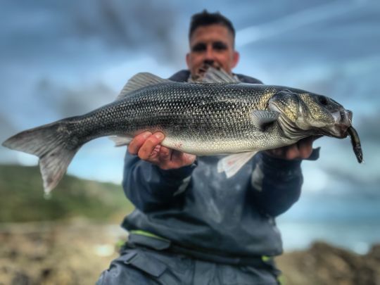 Les estuaires abritent de jolis poissons. Là -bas, vous serez bien à l'abri des fortes conditions météo qui rendent les sorties compliquées sur le bord de côte.