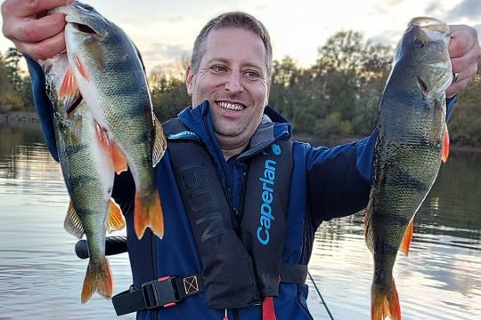 La logique s'applique aussi à de nombreuses autres espèces