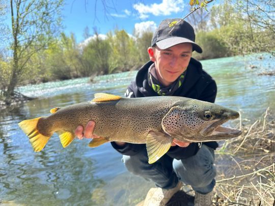 Rechercher de jolis poissons.