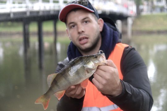 Une belle perche leurrée en compétition après un épisode pluvieux