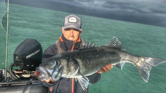 La fin de saison dernière avait été exceptionnelle sur ce secteur, comme en témoigne ce magnifique poisson de plus de 80 cm.