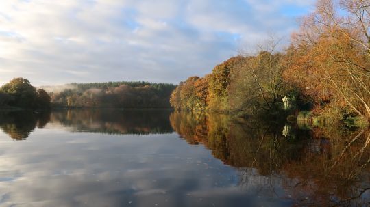 En réservoir, le blob est une mouche qu'il faut essayer au cours d'une journée car les truites les adorent! 