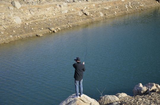 Prospecter les zones tempérées.